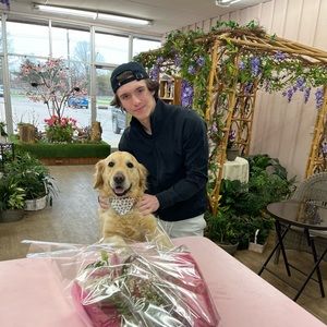 Meet your Posher, Nikolas